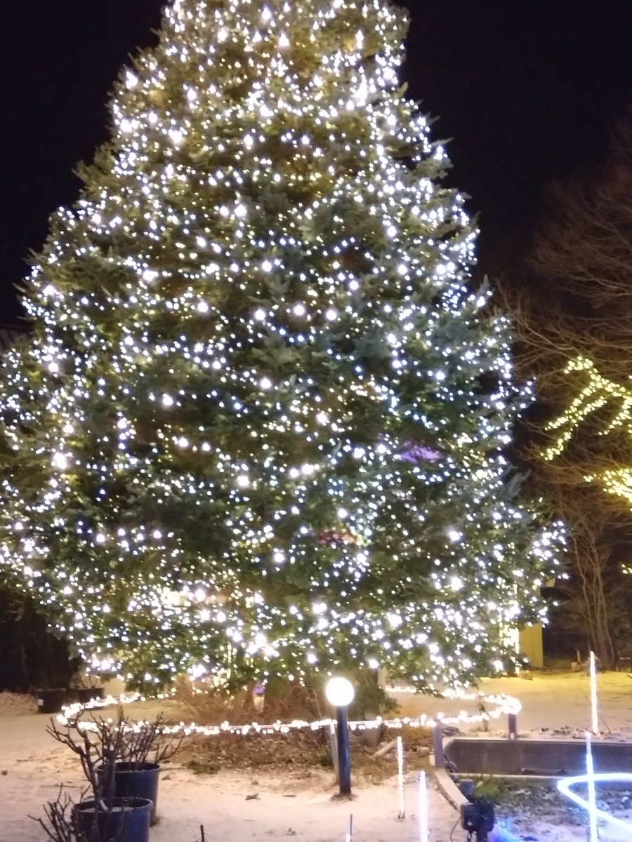 メリークリスマス✨