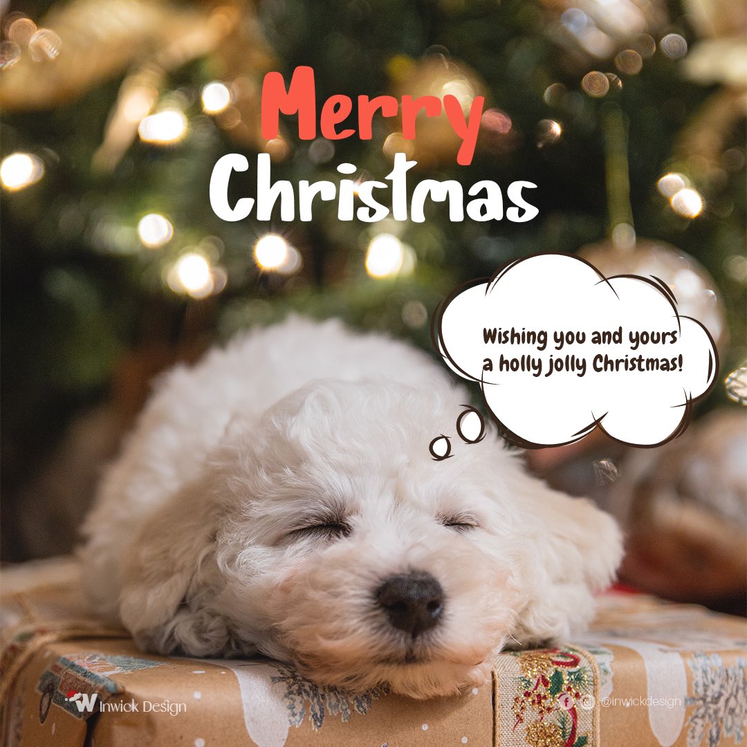 iwick_9's tweet photo. Merry Christmas 🎄🎁
#MerryChrismas #ChristmasWishes #Christmas2023 #inwickdesigns https://t.co/9bpEHe7qu8