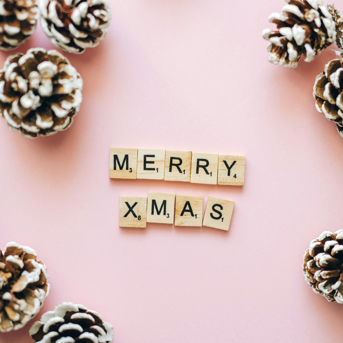 AmericanCane's tweet photo. Wishing you and your elves a very Merry Holiday Season! https://t.co/VqxI0fiWiH
