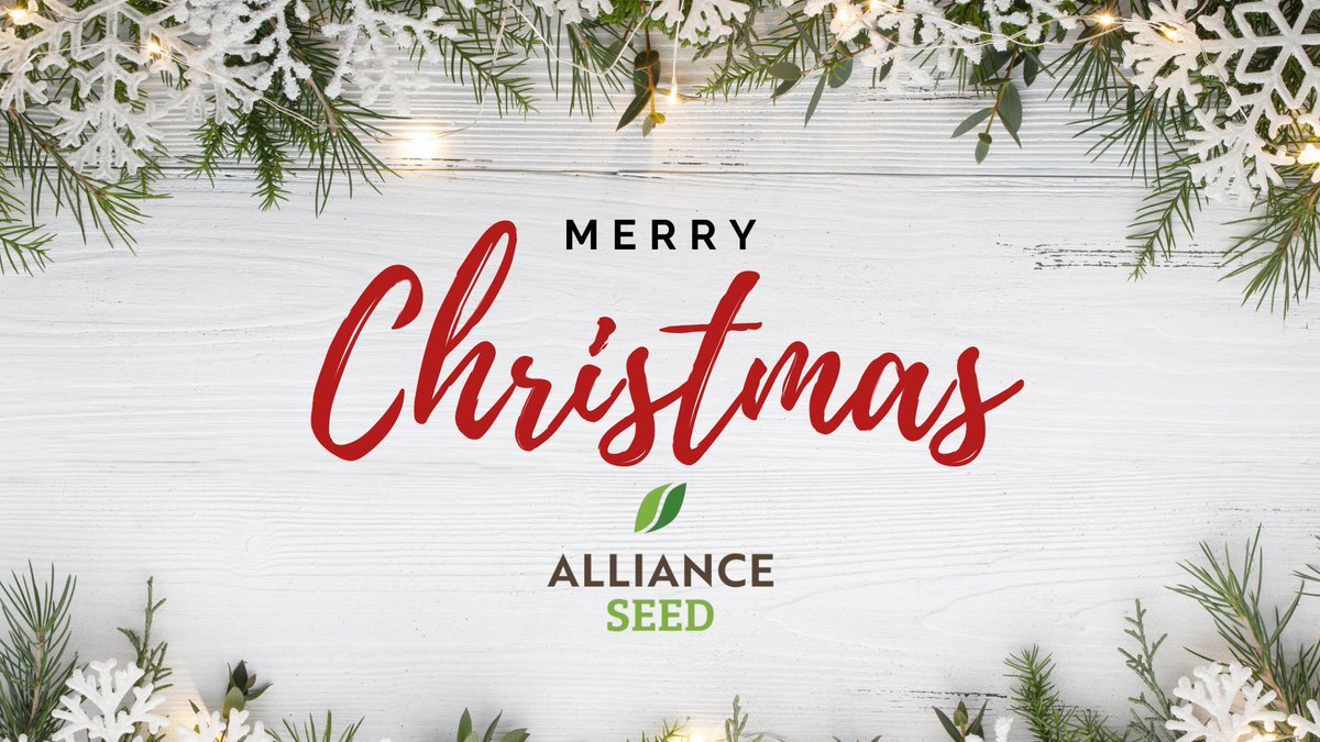 AllianceSeed's tweet photo. Wishing you and yours a very Merry Christmas! From the entire team at Alliance Seed. https://t.co/ZQeGbHxHlS