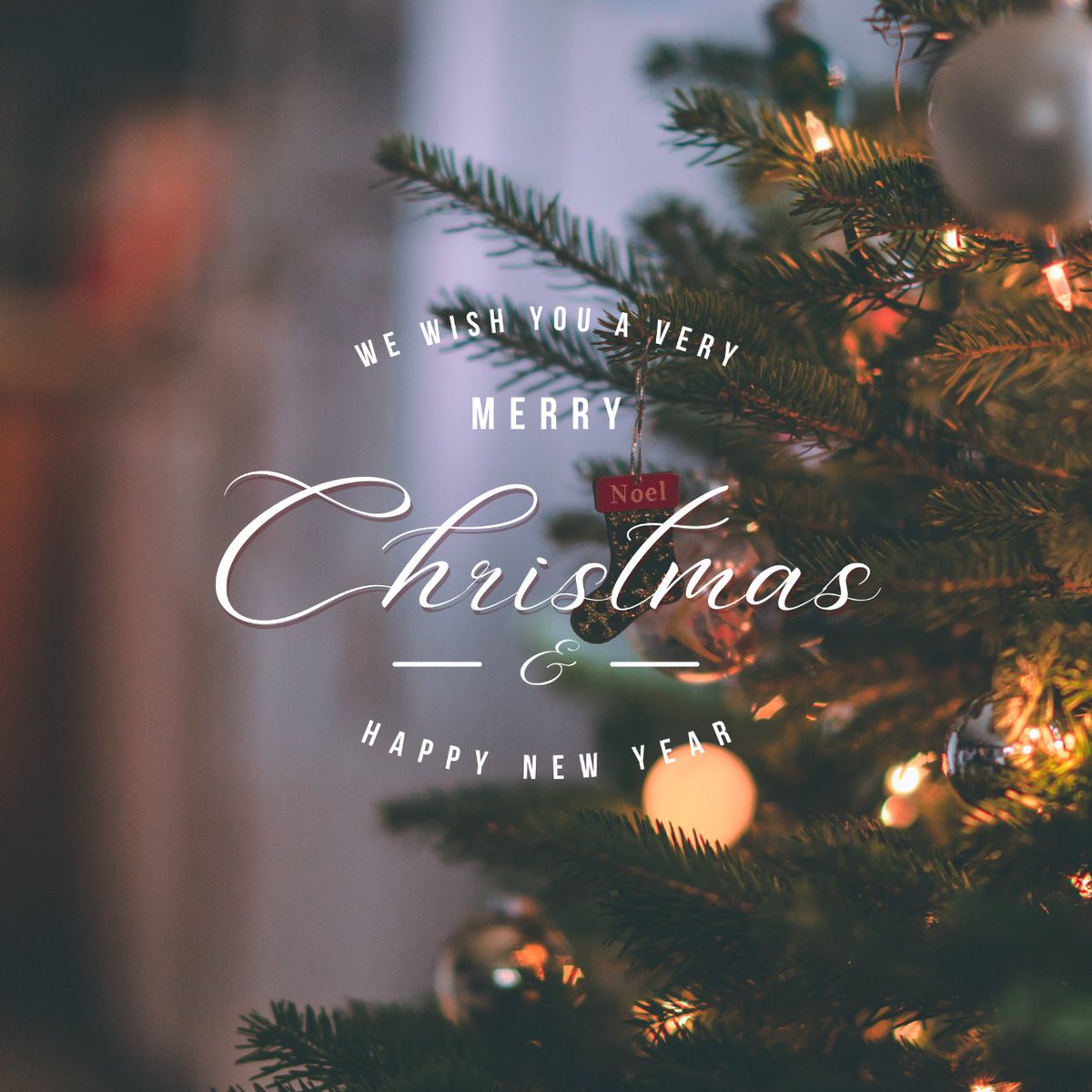 CSFFF_'s tweet photo. Merry Christmas from CSFFA and CSFFF! https://t.co/xpzEkqpTMD