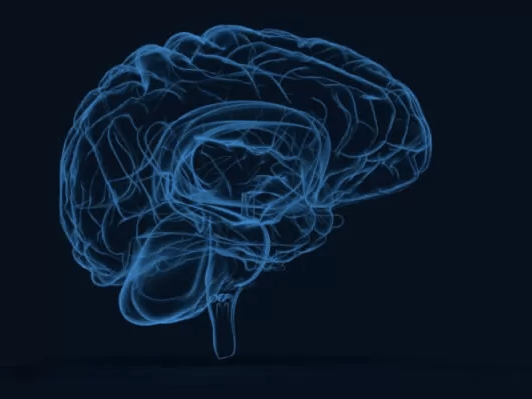 TFLdenver's tweet photo. Are you currently a practicing athlete? Have you recently been diagnosed with a concussion? If so, chances are you’ve been experiencing uncomfortable symptoms that are starting to interfere with your daily life. 

Read our blog! https://t.co/3o5E11fysq https://t.co/fvNnKg7JNa