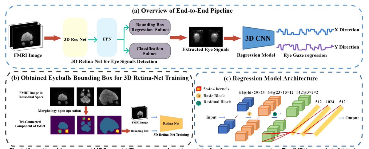 Read eye movement from fMRI. Our lastest work of an end-to-end deep learning model for predicting eye movement from fMRI data. The model can be run in fMRI individual space, skipping any registration step. arxiv.org/abs/2311.13372