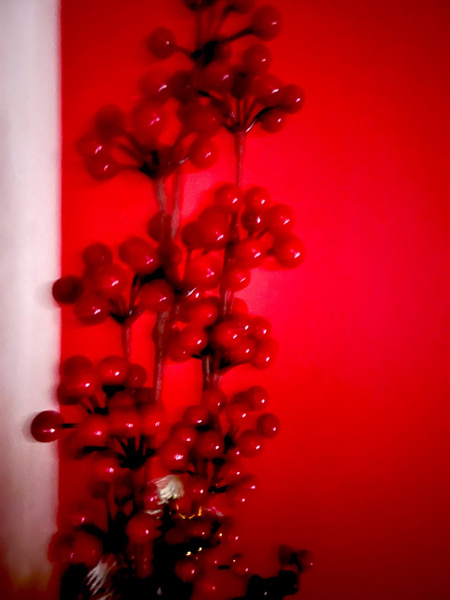 Merry Chridtmas everyone!!@ColeridgeMph <a href="/sushmitha_souza/">Sushmitha D’Souza</a>
