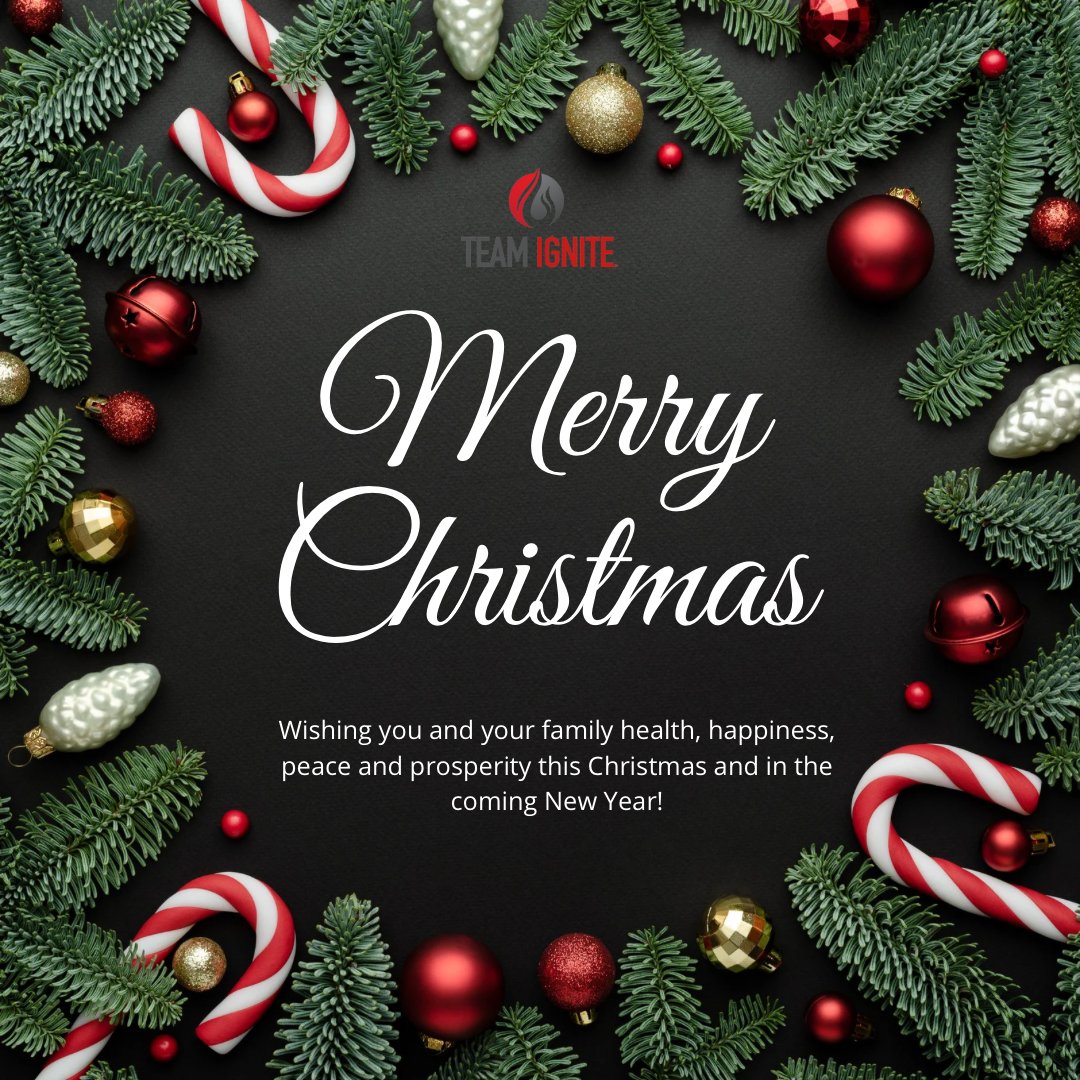 IgniteCoach_Ron's tweet image. May this Christmas be a beautiful reminder that the greatest gifts are not found under the tree but in the love we share and the joy we bring to others. Wishing you all a meaningful and Merry Christmas! #TeamIgnite #IgniteCoachRon #Transformation #Energy #StepBeyond