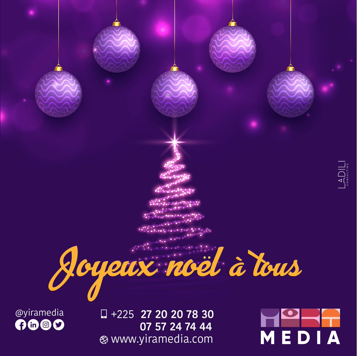 YIRA MEDIA tweet media
