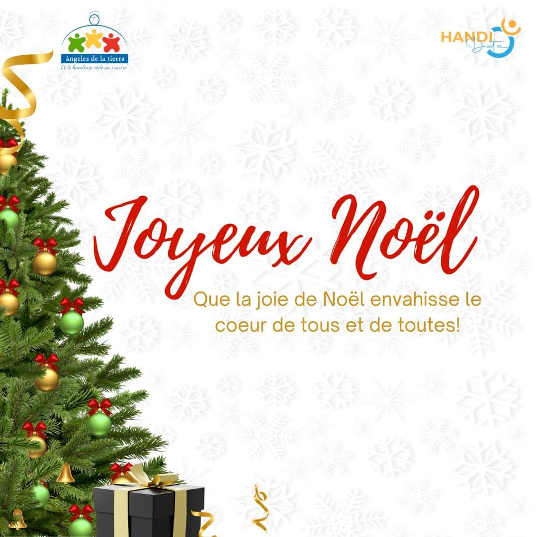 Nous souhaitons à toutes et à tous un joyeux Noël! 🎊🎄💝
