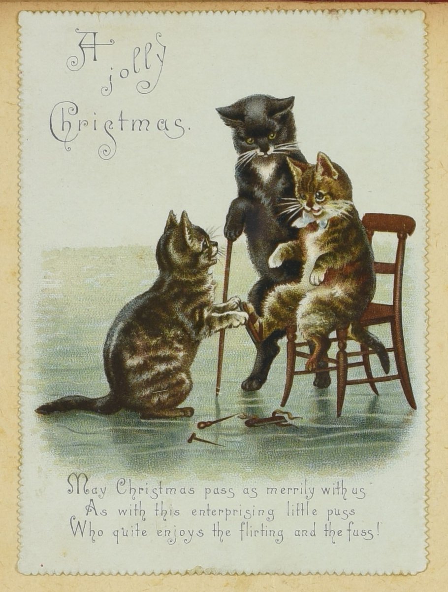 #MerryChristmas to you all, from all of us at Derbyshire Record Office! 

#EYAFestive #ArchiveAdventCalendar #cat