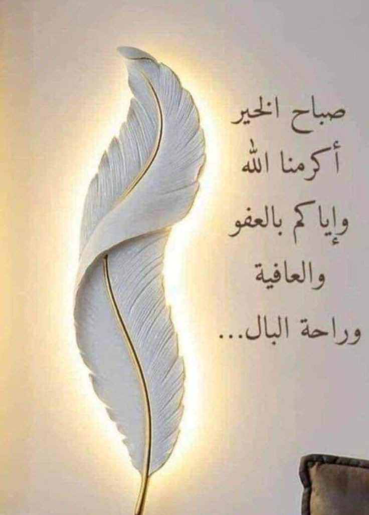 Mohamed aboubaker Cap. MISHO (@cap_misho) on Twitter photo 