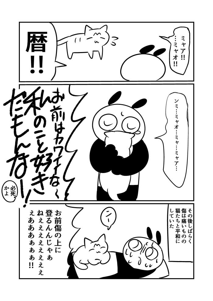 続き 最後に一応診断書を私が文字を書き起こしたの載せます。(写真はアウトで文字書き起こすならOKと言われました、ソース的にどうなのという話だが信じてくれ 