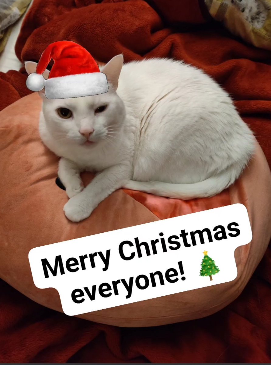 VictorPortelaR's tweet photo. https://t.co/lbzqvzuC09