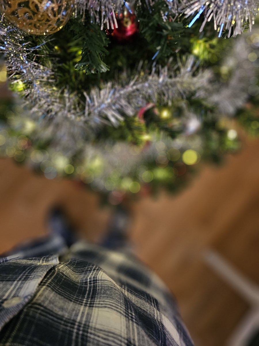 tryggiisch's tweet photo. • pyjamasmys. https://t.co/6oObf0ZHLp