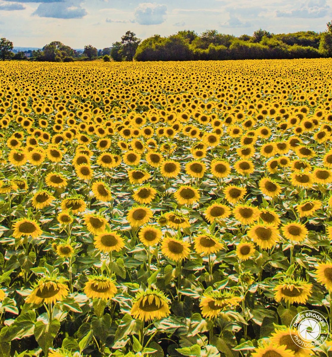 PakLove (@pakp6) on Twitter photo 