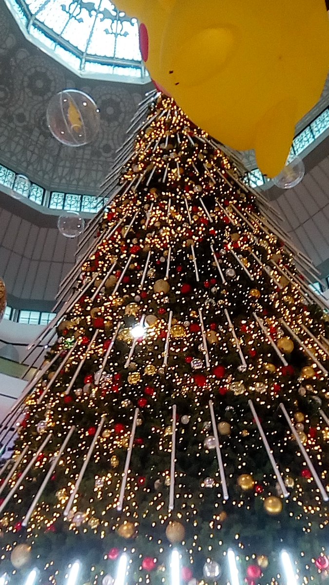 raphansel123's tweet photo. คนเดียว https://t.co/1AE2jIJydq