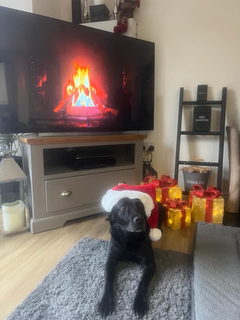 Hants_IOW Fire Dogs tweet media