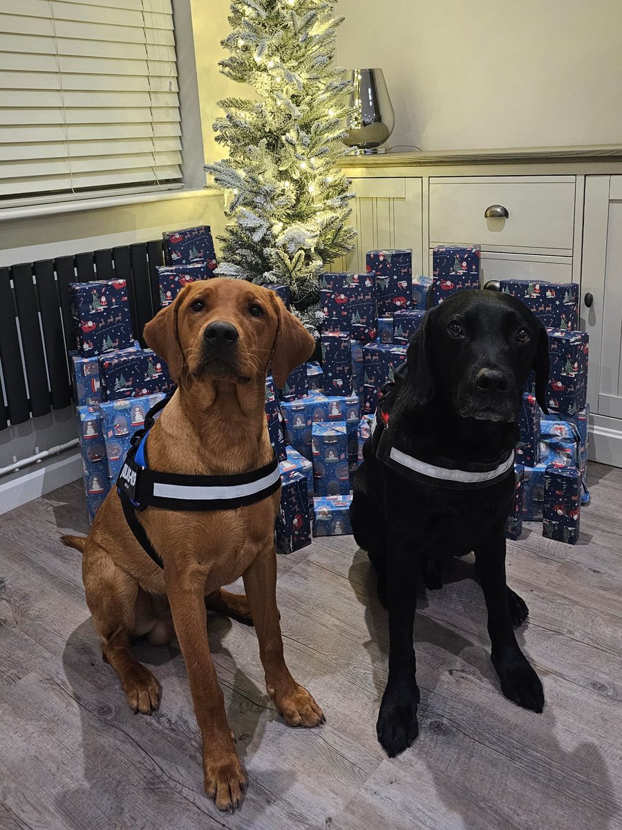 Hants_IOW Fire Dogs tweet media