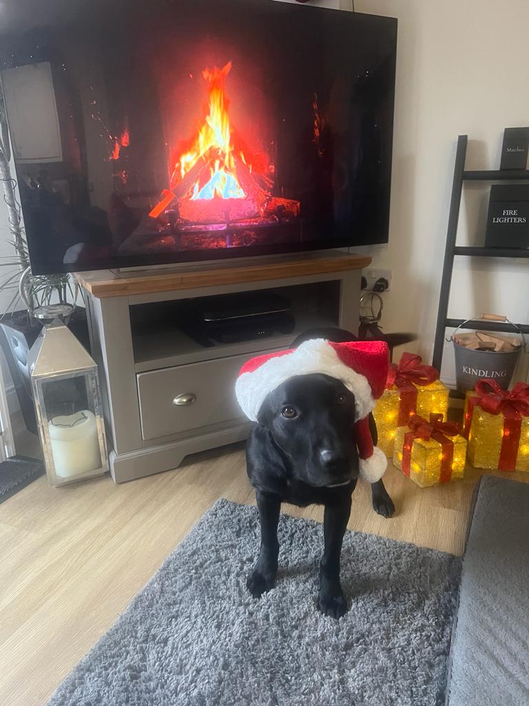 Hants_IOW Fire Dogs tweet media