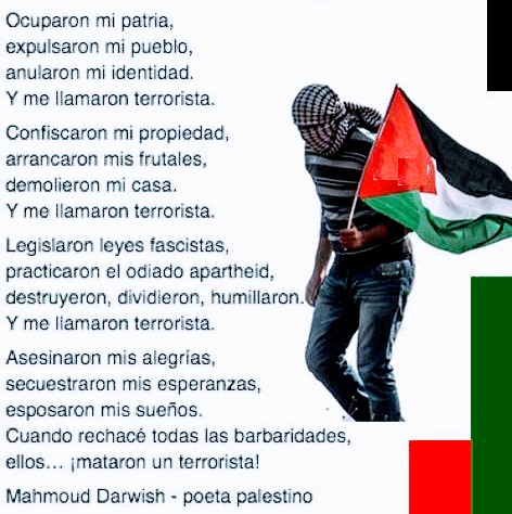 @AntifaRakel 🔻 tweet media