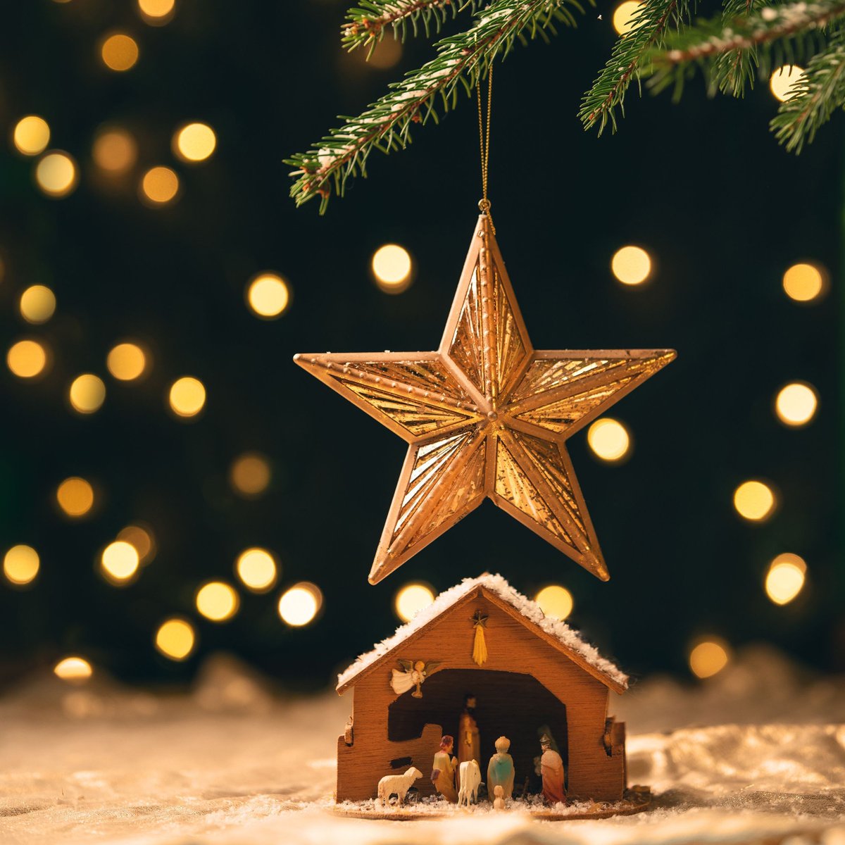 King Canopy tweet media