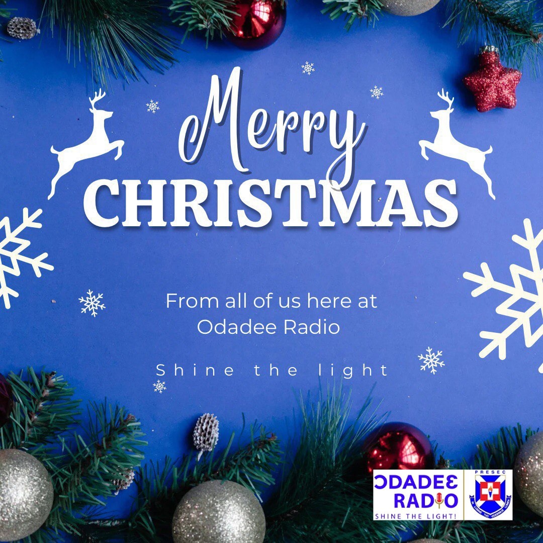 May the season bring you you warmth, joy, laughter and cherished moments. We wish you a Merry Christmas 🌲