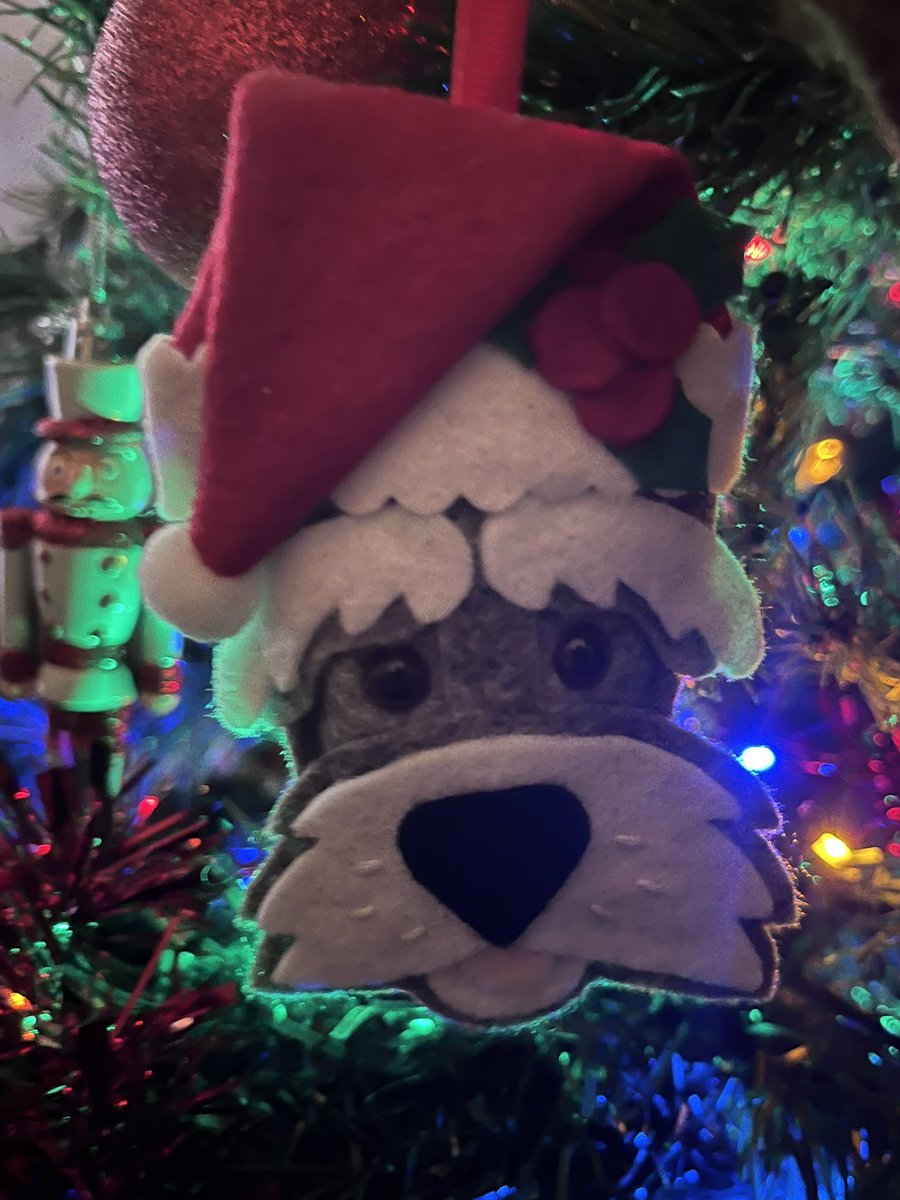 WeeGrowl's tweet photo. Merry Christmas everyone 

I’m at my grannies in Newcastle 

Love Cagney 🐶xx https://t.co/jCNnbLckKa