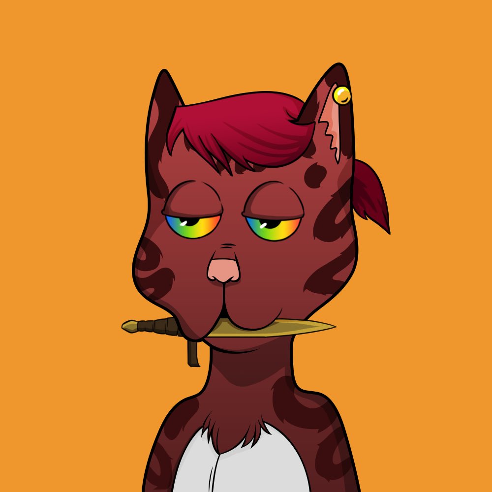 My brother <a href="/nicksik85/">Nick</a> gifted me this <a href="/BossCatRC/">Boss Cat Rocket Club</a> 

He knew i always loved it (am a big irl cat person) and i am very thankful for this

This is one of the cleanest ones out there without any doubts

#BCRC fam still out there??