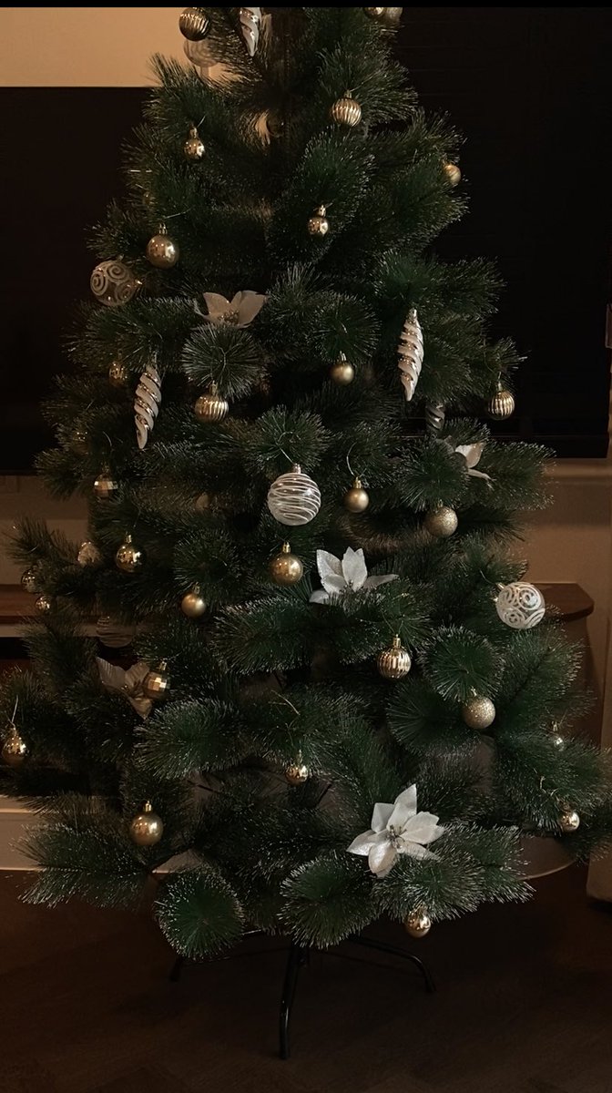 thebookisolated's tweet photo. 🛷𓂃꙳⋆ ᴍᴇʀʀʏ 🐱 ᴄʜʀɪsᴛᴍᴀs 🦌﹆·🎅🏻 https://t.co/fn3yKzV0Hf