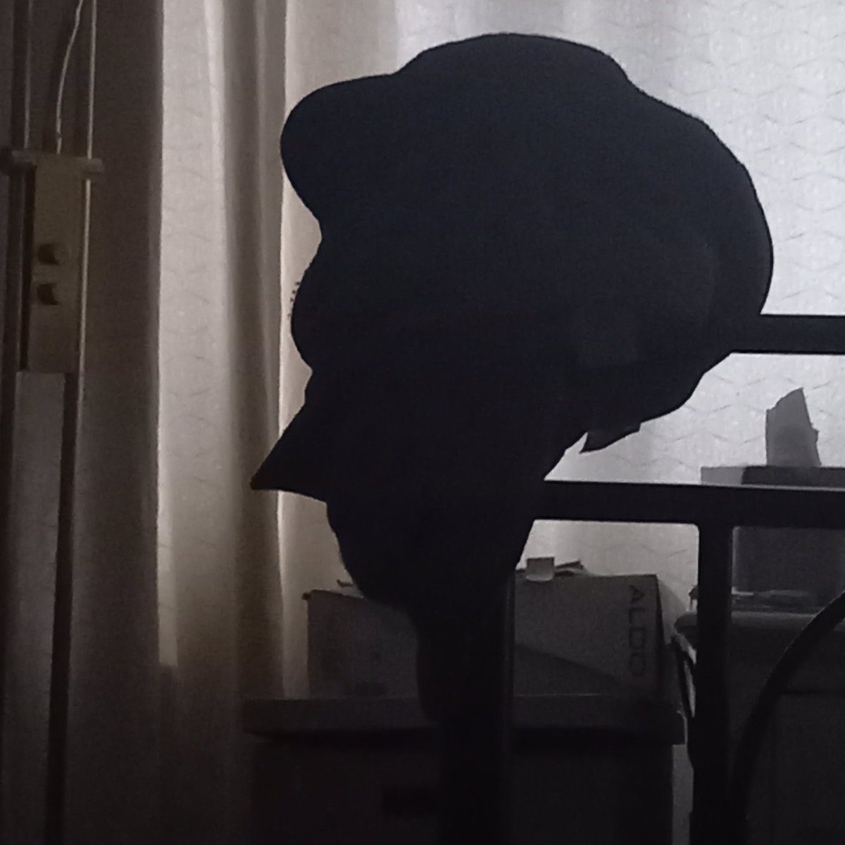 Well my day has gotten off to a creepy start. Woke up to a silhouette of the Ghost of Xmas Past made from 3 caps. Merry Xmas