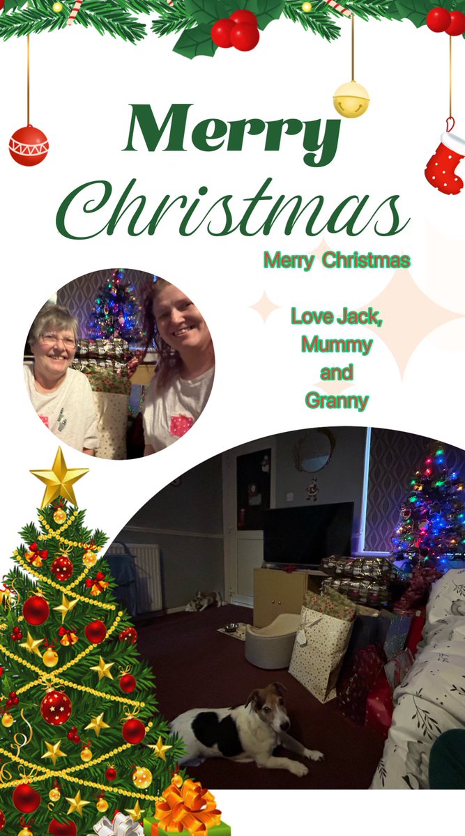 Mahoosive MERRY CHRISTMASSY to all me friendses around the world! Me hopes you all have a pawsome day!!! Me wishing a pawsome day for all, whether you celebrates the Christmassy or not. Me, Mummy and Granny wishing the happys and we sending the loveses all around to everyone