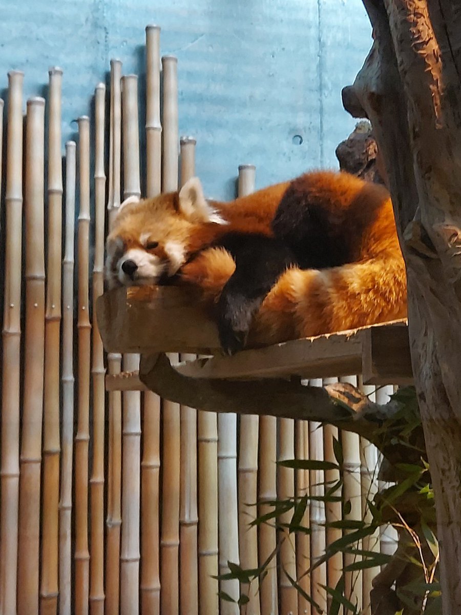 kugetu18's tweet image. 