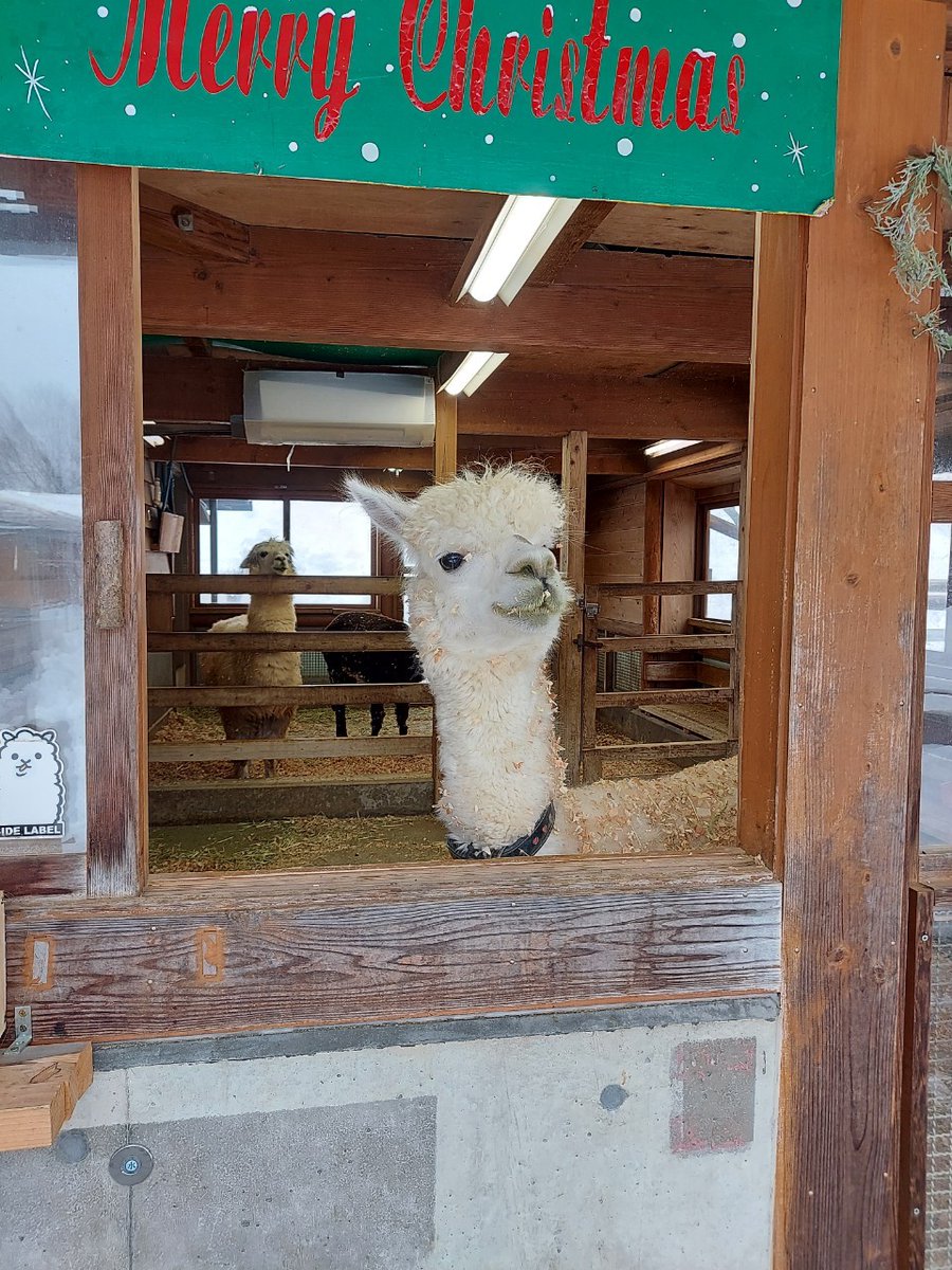 kugetu18's tweet image. 