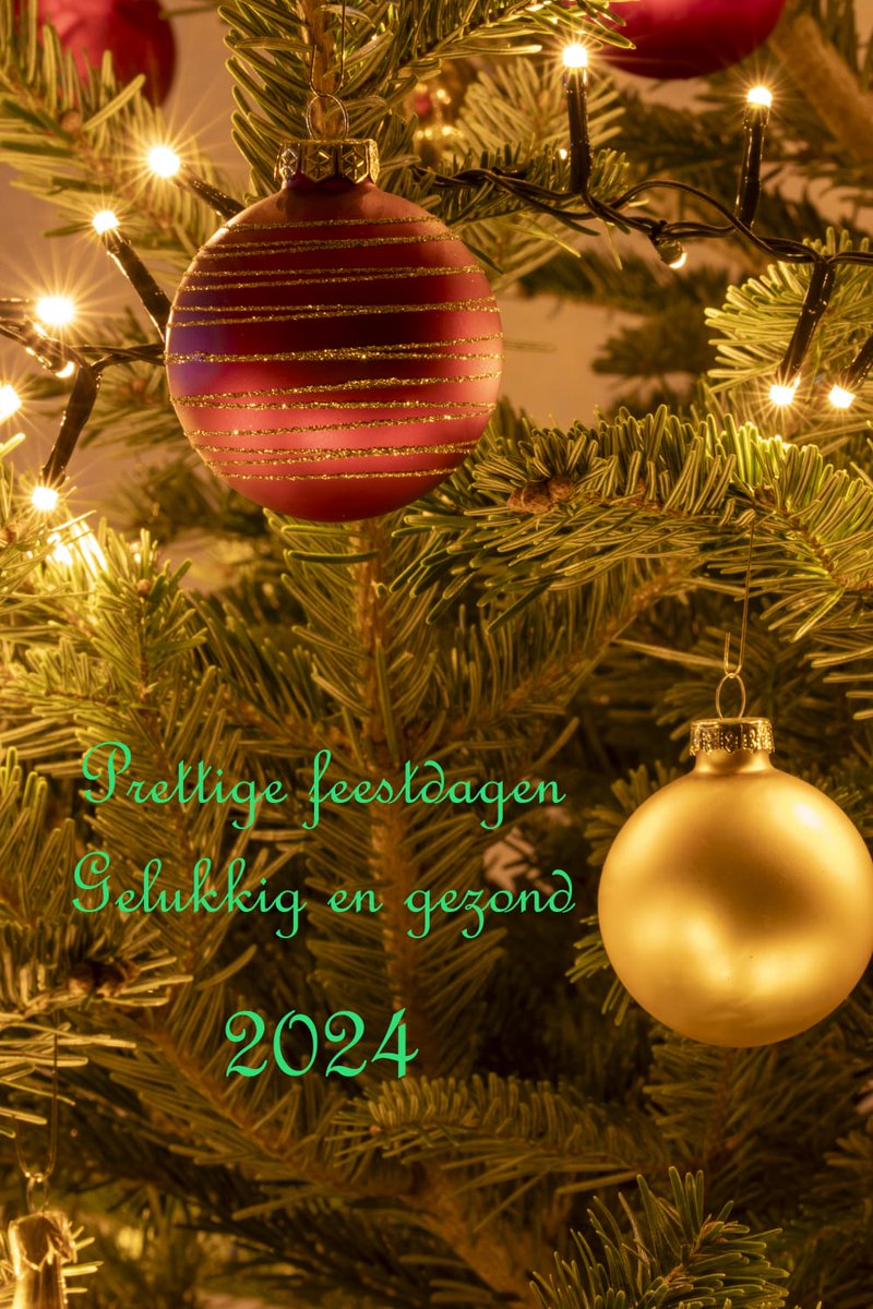 KeesSlot's tweet photo. Vrolijk kerstfeest en een heel gelukkig en gezond 2024!!!  #diverkees #kerstfeest #gelukkignieuwjaar #2024 https://t.co/CTUf066iGC