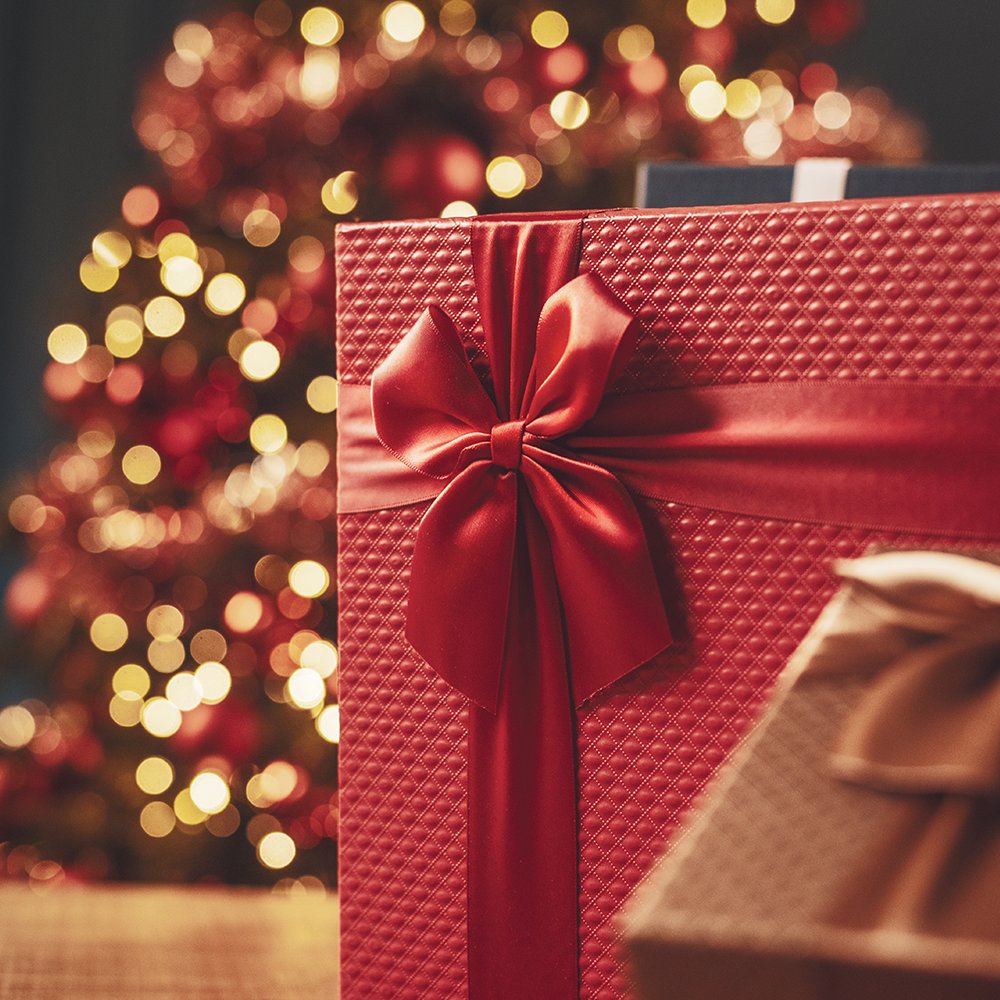 ReNueSherman's tweet photo. Merry Christmas!
#renuesherman #merrychristmas #happyholidays https://t.co/bwwd0FuDv5