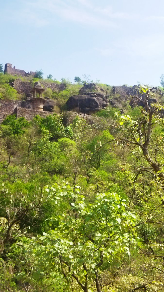 growth4noble's tweet photo. A Hilltop Fort constructed during 11th Century with 200 steps to reach to #RAISENFort OPTIONS #Bhopal #Bhimbetka #Bhojpur #Ashapuri #ChanderiFort #TikamgarhFort #RahatgarhFort #Gyaraspur #Vidisha #Eran #Pisanhari #Bhumra #Unchehara #NachnaKuthar @india_on_mobike https://t.co/cjBIot095H