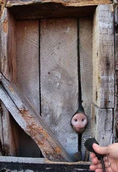 ElChaca99718473's tweet photo. En Aubrac, notre énergie est renouvelable et nous avons des chargeurs rapides pour vos voitures électriques.
N'hésitez pas à venir nous voir
#humour #energie https://t.co/26NPMEAmX8
