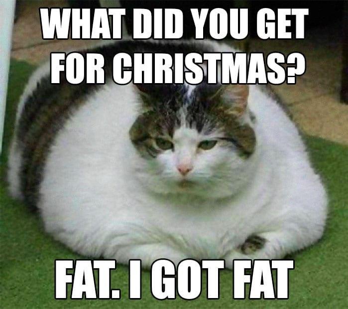 Happens.. 😫🤷‍♂️🎅🎄

#Christmas #Food #Diet #Fitmas #Nutrition #Fat