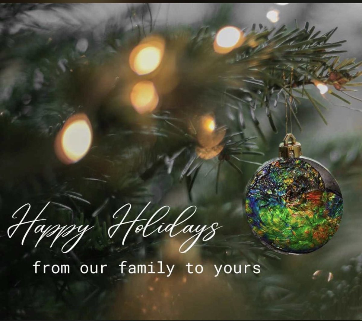 Aryan_Sadat's tweet photo. Happy Holidays from our family to yours. Stay blessed! #HappyHolidays2023 https://t.co/i7idZWwQB2