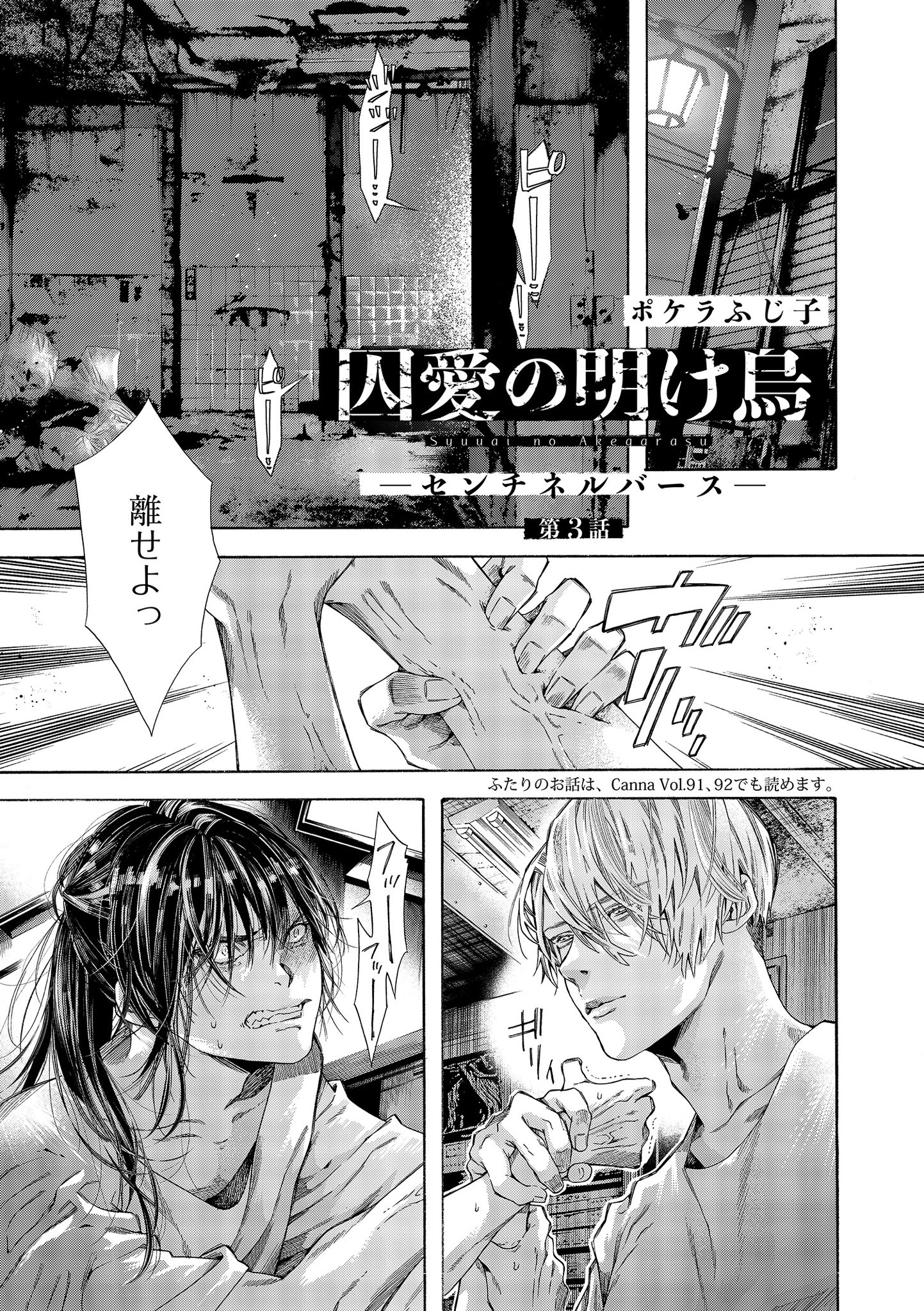 こんたけさんのパラガスさん しおからまる on X: 