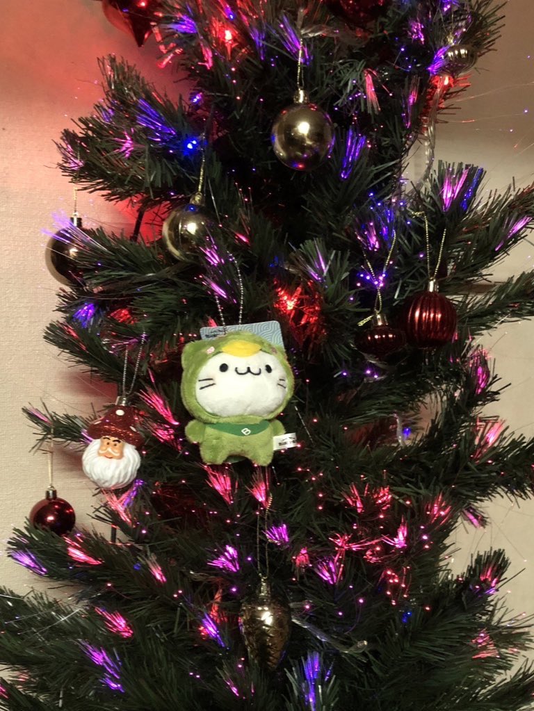 BELLUNA_'s tweet photo. メリークリスマス９７🎄

#bellunyamerrychristmaschallenge100 #bmcc100 https://t.co/3bSO4XNgXV