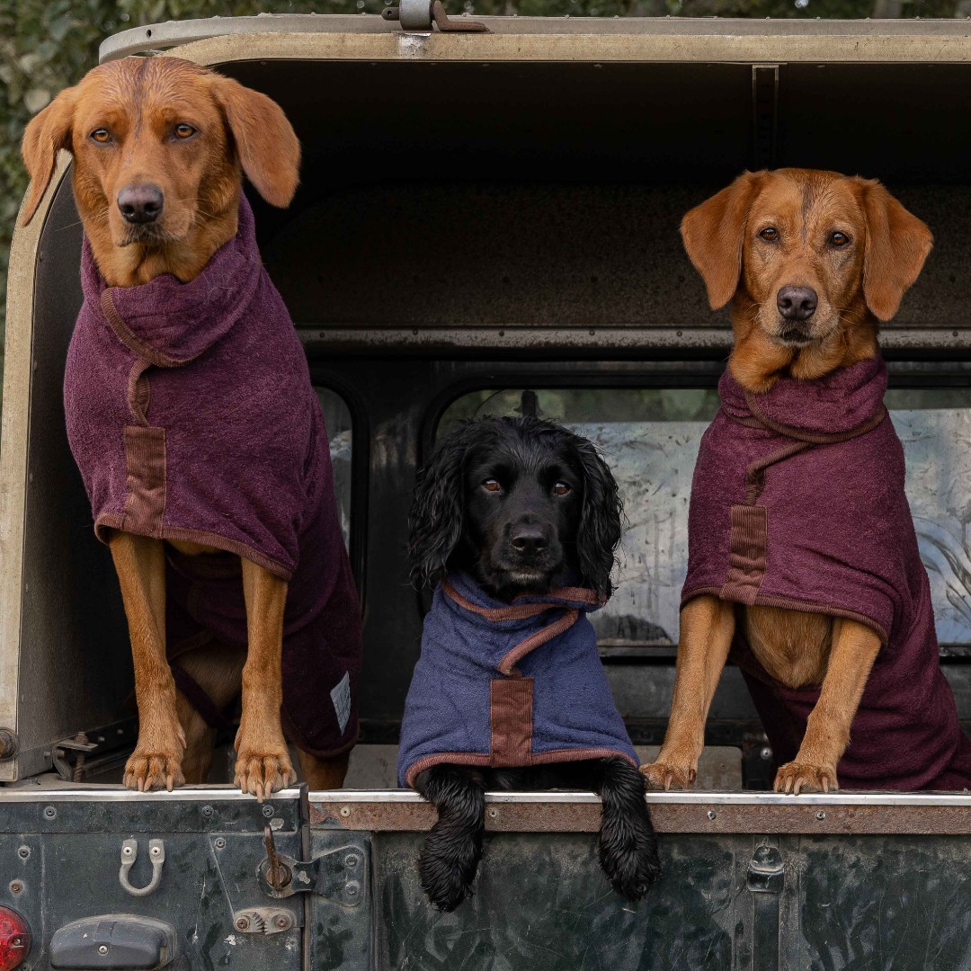 RuffTumbleCoats's tweet photo. Happy Christmas!
Have a wonderful day with your friends, fam and dogs 🎄🐶🥰
Love from everyone at Ruff and Tumble xx
#ruffandtumble #dryingcoats #bestdryingcoats #dogdrying #dogwet #dogcold #colddogs #wetdogs #smellydogs https://t.co/6tMjbfSpQ6