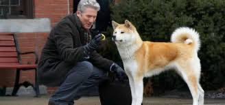 Per la sera di #Natale da meraviglie sulle reti Mediaset 
CANALE 5 #ConcertoPerLaPace dal Vaticano 

ITALIA1 #UnaPoltronaPerDue 

RETE4 #Hachiko