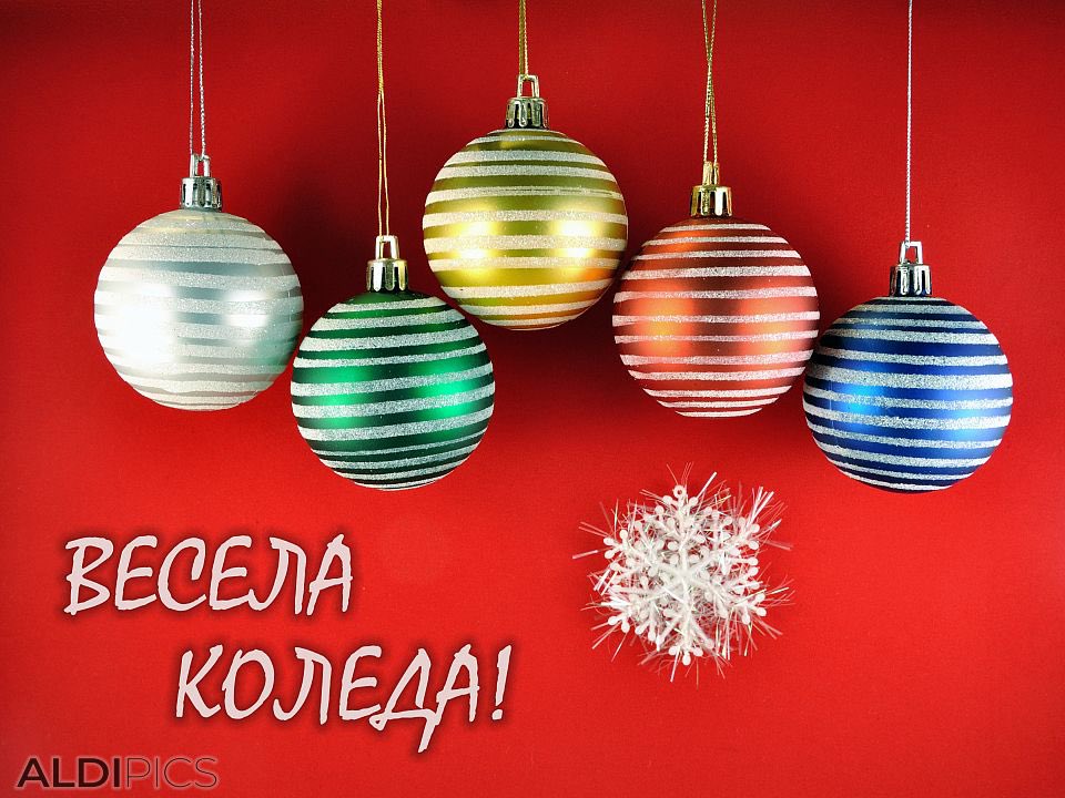 StacyPolimerova's tweet photo. Нека Коледният дух ви донесе сила за сбъдване на мечтите и надежда за по-добра и успешна година!

Весела Коледа! 🎄 https://t.co/FlTb6p0mwo