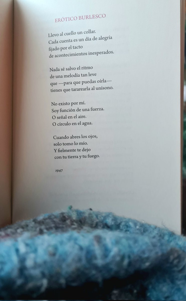 A la islandesa, amanecer leyendo.
Wisława Szymborska. Poesía y manta, de las buenas.
