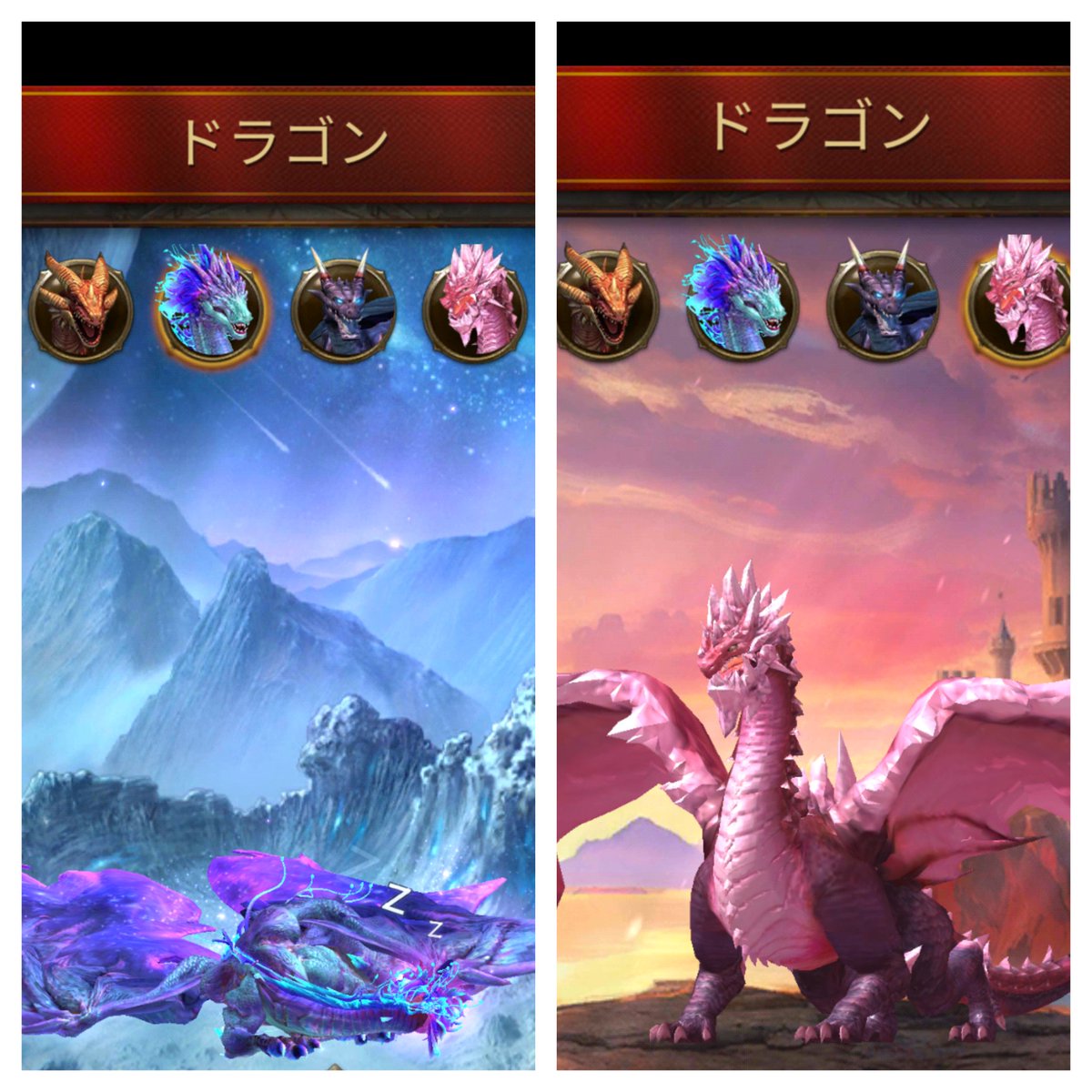 jing864's tweet photo. @Lalalan06764481 @GEKIKARAtheway ピンクドラゴン、３倍クーポンと２倍クーポンで、ゲットしました。
まだまだレベルは低いですが、餌やりまくる🤣ジャワザールは、今回見送り次回のチャンスまで貯金する（笑） https://t.co/bqxoyXUkrn