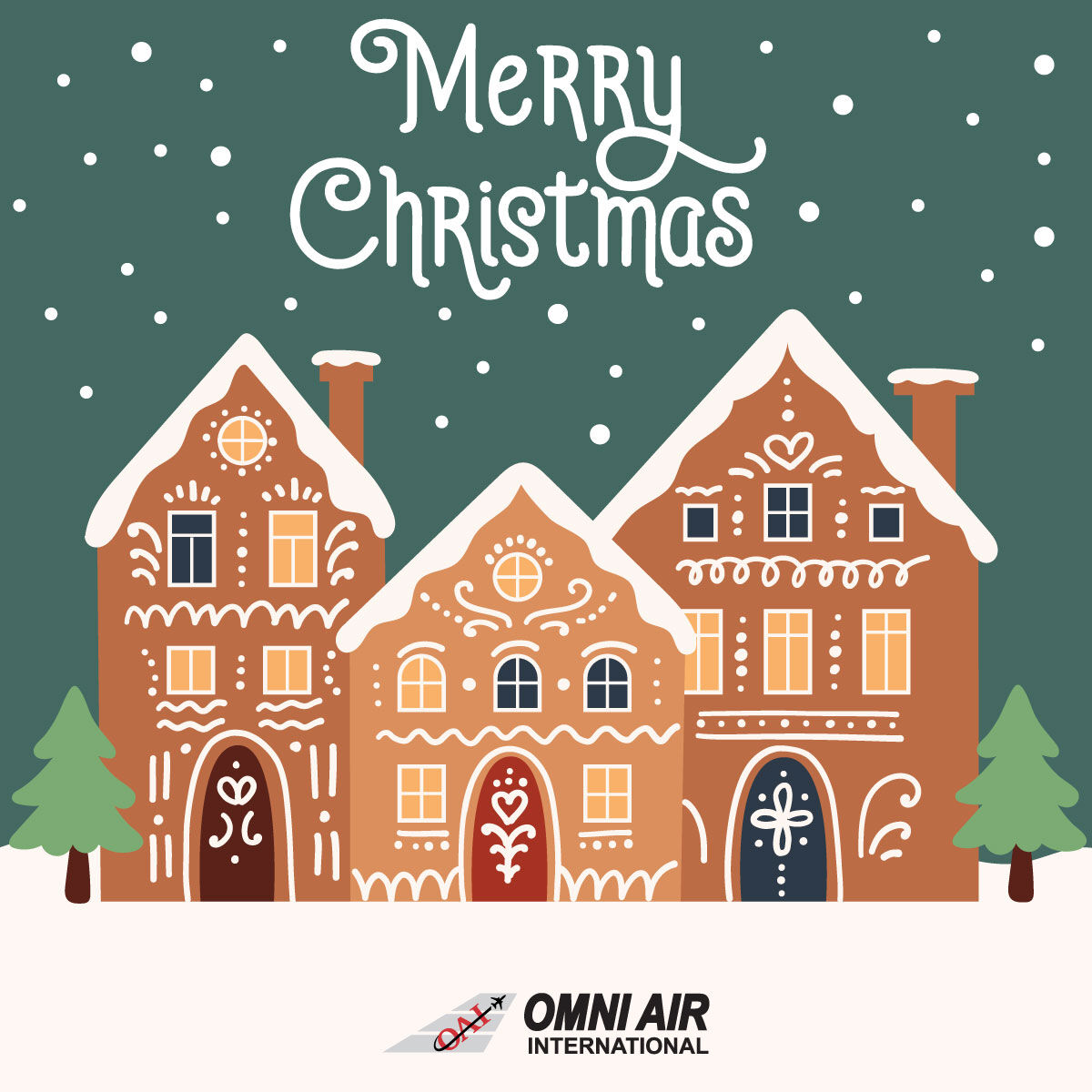 Wishing you a wonderful Christmas holiday from Omni Air International! #christmas