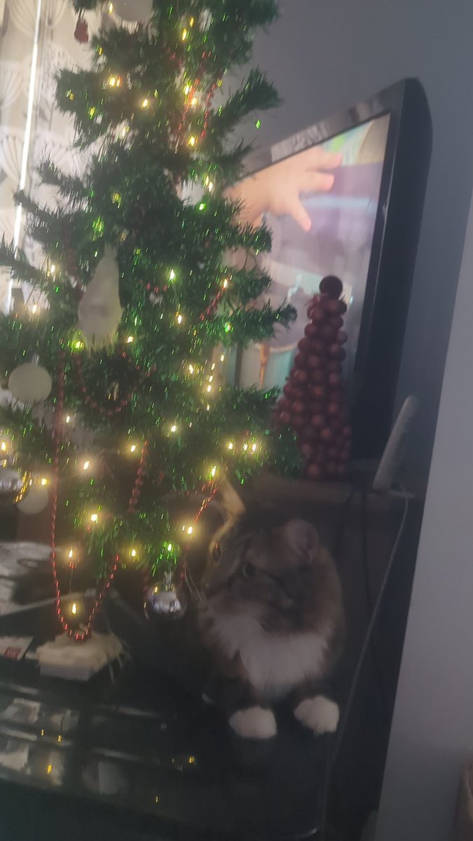 Crazy_Leopard's tweet photo. Merry Christmas 🎁 all and a happy new year x https://t.co/WooFYPon5y