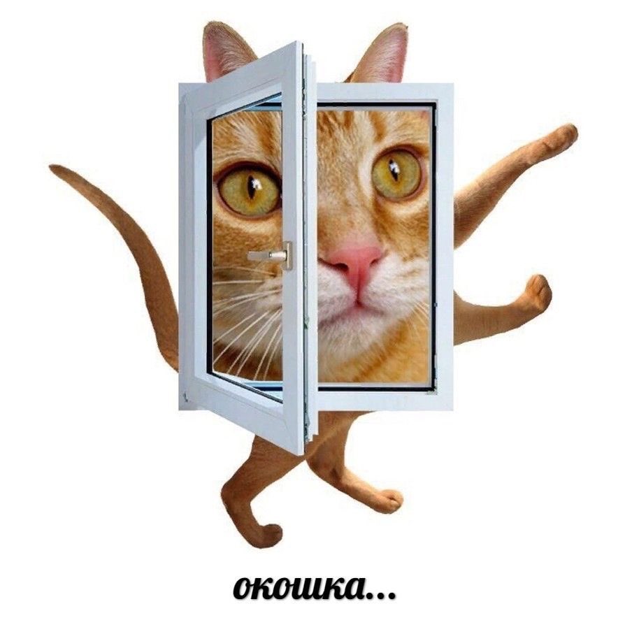 Итоги года, но скидываем только мемы