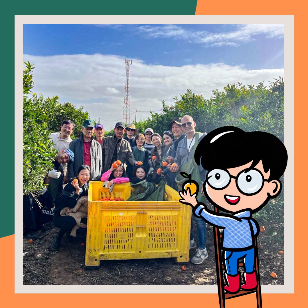 KoreanEmbassyIL's tweet photo. ביום שישי שעבר, שגריר קוריאה, מר קים ג׳ין-האן, וצוות השגרירות, נסעו לעזור בקטיף תפוזים במשק אלפסי במושב בית אליעזר. בתקופה מאתגרת זו,  חסרות ידיים עובדות בענף החקלאות הישראלי אך לא חסרה בארץ רוח התנדבות וסולידריות. https://t.co/RJkLRmFo6J