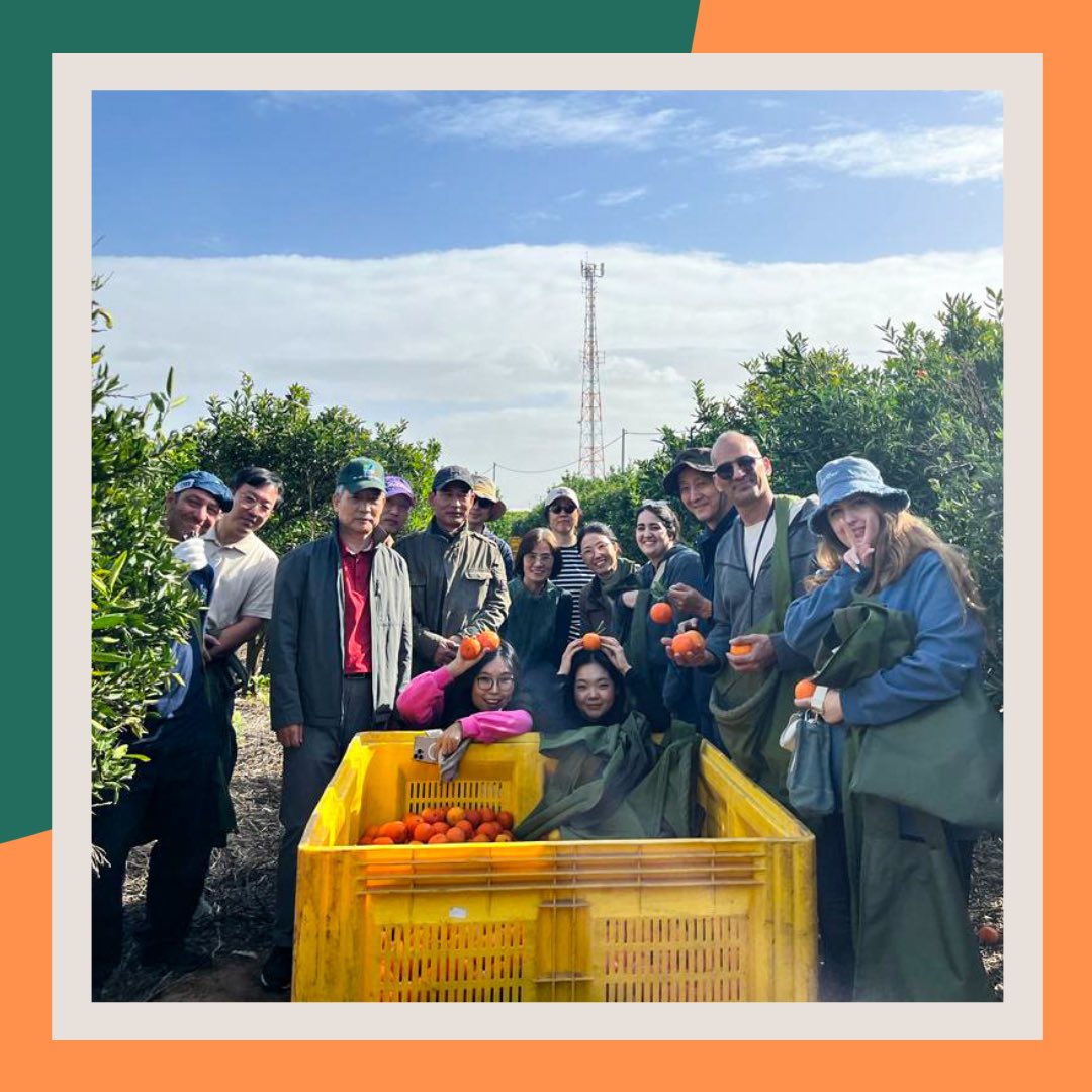 KoreanEmbassyIL's tweet photo. We were thrilled to be a part of this blessed mobilization and express our heartfelt gratitude to Mr. Ronan Alfasi for allowing us to volunteer and contribute to the community and Israeli agriculture. https://t.co/cfFbxx3iYC
