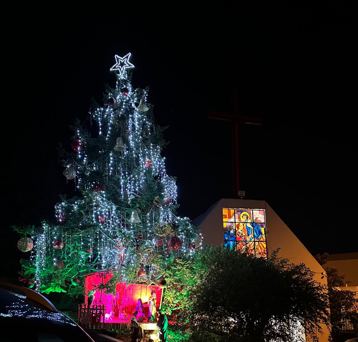 À tous : un Noël saint et joyeux 🌲🇱🇧 
Pensée particulière et affectueuse pour celles et ceux qui sont seuls en ce jour.